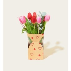 Flowers Letterbox bouquet Vase bag Tulips
